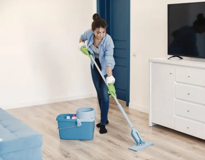 Femme de ménage Trélissac
